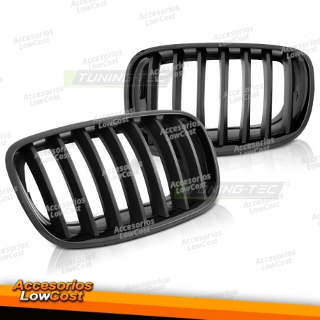 GRELHA PRETA FOSCA BRILHANTE PARA BMW X5 E70 X6 E71 08-