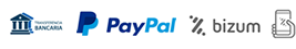Métodos de pago Paypal, Bizum